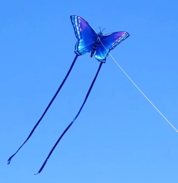 TongFeiXiang Long Ribbon Couple Kite - Easy to Fly in Light Breeze, Premium Design for Kids and Adults, Trendy Style