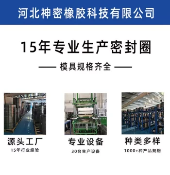 Roller Press Grinding Roller Oil Seal - Skeleton Oil Seal, Fluororubber TC Seal for Roller Press