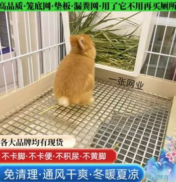 304 Stainless Steel Pet Cage Bottom Mesh for Guinea Pigs, Chinchillas, and Rabbits - Custom Leak-Proof Droppings Board by Dayang Ruiyou