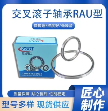 RAU Dedicated Bearing for Speed Reducer and Robotic Arm Rotation Parts
