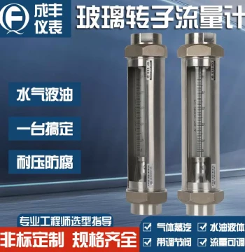Glass Rotor Flowmeter G30 Series for Gas/Liquid - Carbon Steel Flange Body with Threaded Hose Connection