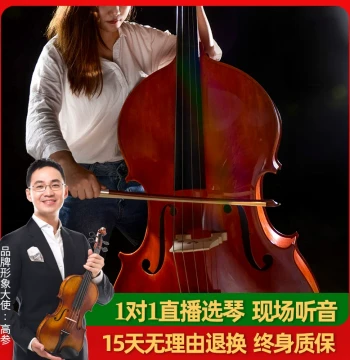 chrisitina Professional Double Bass for Adults and Children, Exam and Performance Grade, Contrabass