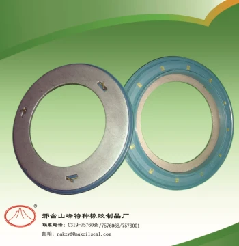 Manufacturer Supply NQK SF Rotary Oil Seal, Hydraulic Oil Seal, Mechanical Oil Seal 117.5*158*17.8 O-ring