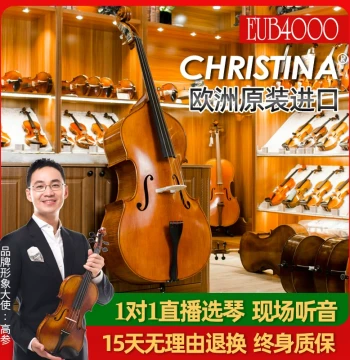 EUB4000 European Original Solid Wood Handcrafted Professional Double Bass