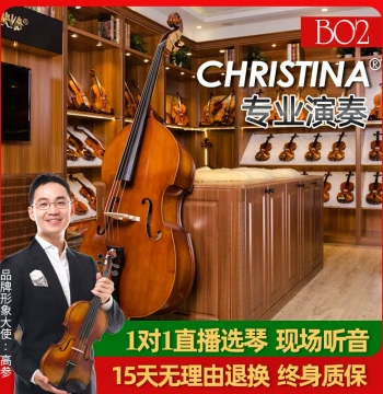 B02 Solid Wood Edge Double Bass for Adults and Children, Professional Grade Examination and Performance Upright Bass