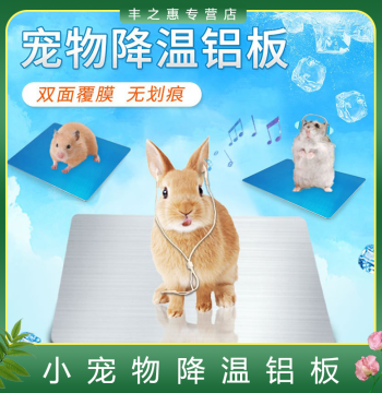 Pet Summer Cooling Aluminum Plate - Ice Mat for Rabbits, Guinea Pigs, Chinchillas, and Hamsters, Heat Dissipation and Insulation Pad for Summer Relief