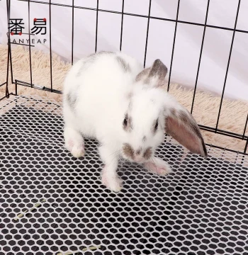 Rabbit Cage Floor Mat A1zoq001 - Anti-Chew Interlocking Pedal for Pet Rabbits