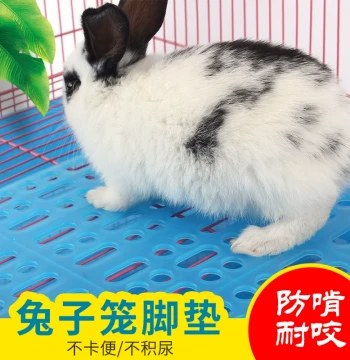 Anti-Chew Leak-Proof Pet Grid Mat for Rabbits, Guinea Pigs - Large Size Cage Floor Protector