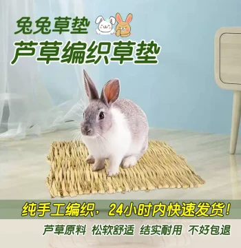 Two Rabbits Brand Pet Supplies - Young Rabbit Grass Mat - Woven Chewable Foot Pad for Rabbits, Chinchillas, Guinea Pigs, and Hamsters
