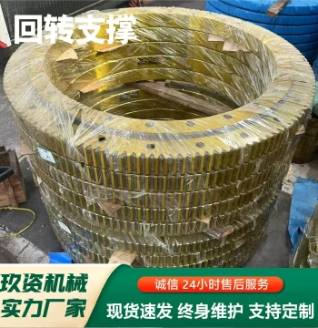 Slewing Support Shaft Bearing with Gear for Industrial Machinery Rotation, Self-Automation Equipment Rotary Bearing