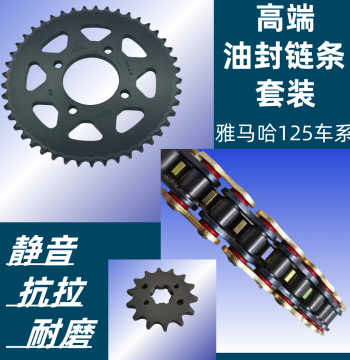 Chain Set for Yamaha Tianjian YBR125, Tianqi, Tianji JYM125, Including Sprocket, Chain, and Oil Seal