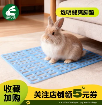 Rabbit Foot Pad Anti-Chew No Clogging Guinea Pig Rabbit Base Plate Pet Plastic Grid Board Droppings Cage Mat
