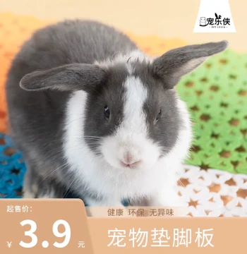 Pet Foot Pad Board - Anti-Chew Interlocking Mat for Rabbit Cages, Guinea Pigs, and Chinchillas to Prevent Pododermatitis