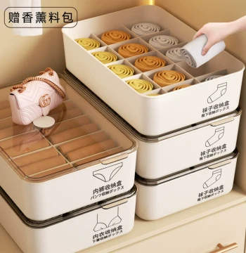Underwear Storage Box - Home Organizer with Compartments for Bras, Panties, and Socks, All-in-One Closet Solution for Intimate Apparel