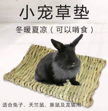 Grass Mat for Adult and Baby Rabbits, Guinea Pigs, and Chinchillas – Prevents Foot Dermatitis, Soft Bedding Pad