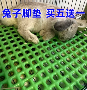 Rabbit Foot Mat - Anti-Chew Plastic Mesh Floor Board for Cages, Droppings Tray and Protective Grid for Rabbits