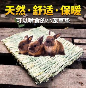 Small Animal Foot Mat - Safe Grass Pad for Rabbits, Guinea Pigs, Chinchillas, and Pigeons, Non-Toxic and Edible Cage Accessory