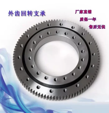 External Gear Slewing Bearing - Rotary Bearings for Fog Cannon Machines, Palletizers, Turntables, and Small Slewing Supports
