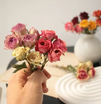 Aromatherapy Candle DIY Materials: Mini Real Rose Dried Flowers for Resin, Plant Specimen Frame Decor