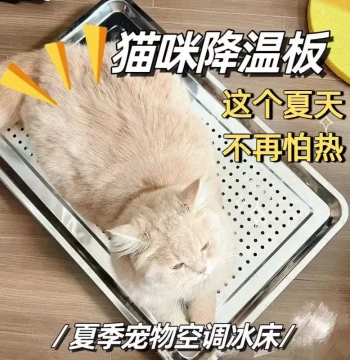 Magnetic Extra-Thick Stainless Steel Pet Summer Cooling Bed, Multi-Function Oil Control Tray for Cats and Dogs
