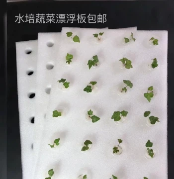 Hydroponic Floating Planting Board with Holes for Soil-Free Vegetable Cultivation in Greenhouses, Ponds, and Water Gardens