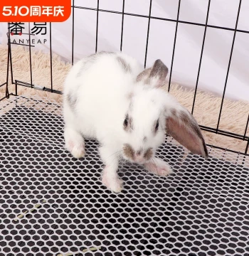 Rabbit Foot Pad A1vn800 - Trim-to-Fit Plastic Tread Plate for Pet Cages with Bite-Resistant, Flexible, and Interlocking Design