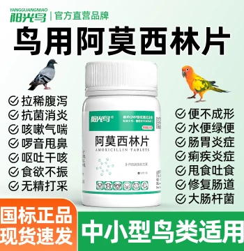 Amoxicillin Tablets for Birds, Medicine for Hwamei, Budgies, Cockatiels, Parrots; Treats Diarrhea, Enteritis, Cold, and Cough