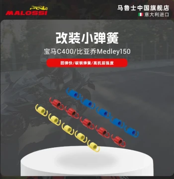 Malossi Clutch Modification Small Springs for BMW C400 and Piaggio Medley 150, Improves RPM Response