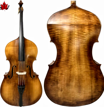Changxiang Instruments Rare Model, Handcrafted Solid Wood Double Bass and Contrabass
