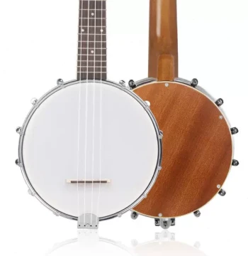Factory 4-String Banjo, Western Folk Instrument with Carrying Bag