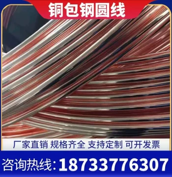 Direct Factory Sales Copper-Clad Steel Round Bar, Copper-Plated Round Steel Wire for Lightning Protection and Grounding