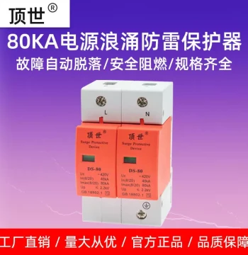 Factory Direct Surge Protector 2P 80KA, Lightning Arrester for Power Box, DS-80 Module