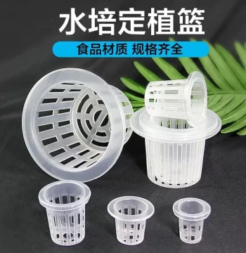 Hydroponic Plant Net Pots – Deepened Soil-Free Cultivation Baskets for Money Plant, Pothos, Bowl Lotus, Guanyin Bamboo, Lucky Bamboo