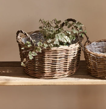 Handwoven Willow Grass Rattan Succulent Planter Pothos Country Basket Flower Arrangement Bamboo Wall Hanging Decorative Flower Basket