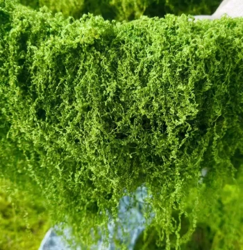 Artificial DIY Moss Fake Green Moss Simulated Turf Landscaping Thread Artificial Vegetation Fake Grass Lawn Pot Top Dressing