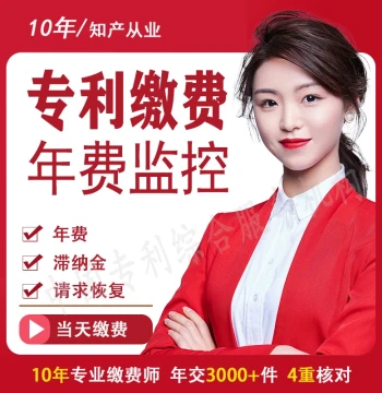 Patent Annual Fee Payment Service Official Fees Late Fees Examination Request Registration Stamp Fees Restoration Request Fees