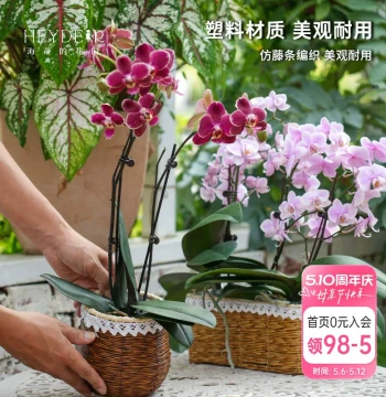 Heidi's Garden Plastic Rattan-Style Flower Basket for Orchids, Kalanchoe, and Pothos, Creative Gardening Decorative Pot Cover