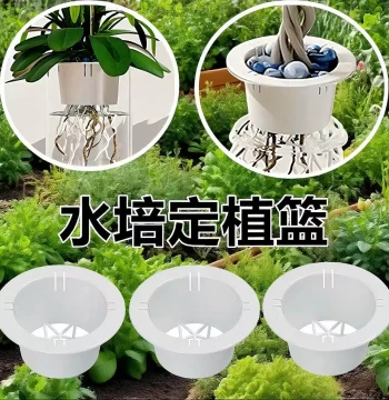 Soilless Culture Hydroponic Planting Basket, Fish Tank and Flower Pot Fixator, Deepened Glass Vase Holder for Pothos Root Stabilization