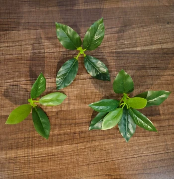Dried Branch DIY Decoration with Single Artificial Green Leaves, Plastic Fake Foliage for Fruit and Leaf Decor
