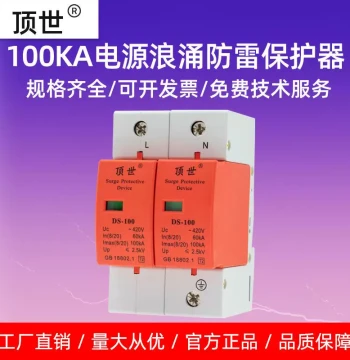 Factory Direct Surge Protector 2P 100KA - Lightning Arrester Module for Power Distribution Box DS-100