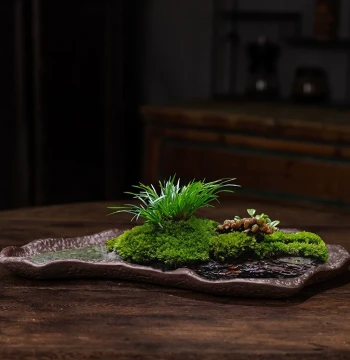 Premium Round Bonsai Pot - Rectangular Planter for Golden Pomegranate, Acorus, Rockery, Water-Wicking Stone, Hydroponics, Zisha Ceramic