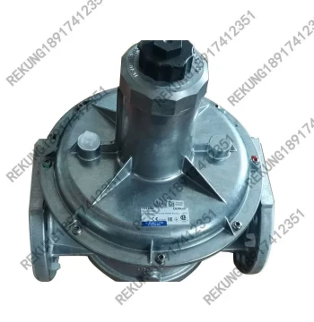 Jisu FRS515 FRS520 FRS5065 FRS5080 FRS5100 FRS5125 Gas Pressure Reducing Valve Regulator