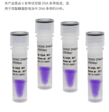 Free Shipping with Invoice, D2000 DNA Marker Molecular Weight Standard (100-2000bp) BL102A