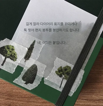 [Full Roll/Partial] Korean zagne Tree Design - Minimalist K-Style INS Aesthetic Planner Decorative Tape