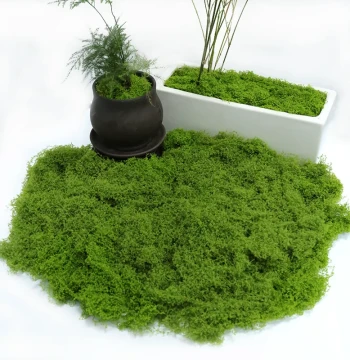 Artificial Moss Jungle, Fake Green Moss, Bionic Turf, Landscaping Thread, Simulated Grass Vegetation, Lawn Pot Top Dressing