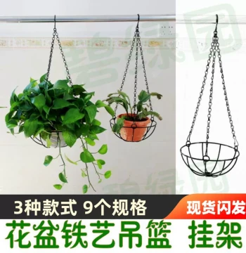 Hanging Planter Rack for Pothos, Spider Plants, Succulents, and Air Plants - Wrought Iron Chain Basket for Balconies