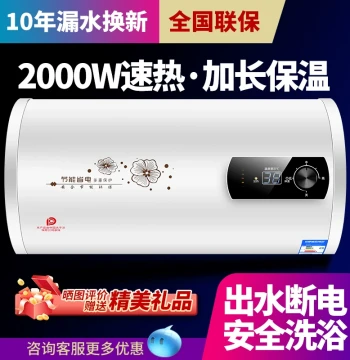 Sakura Tree Electric Water Heater with Installation Service, Round/Flat Tank Storage Type for Home Bathroom and Rentals