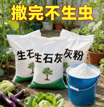 [Vegetable Special] High-Purity Quicklime Powder for Soil Pest Control and Improvement