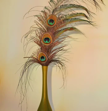 Genuine Peacock Feathers for Chinese-Style Home Decor, Living Room Ornaments, Real Feather Vase Fillers, and Entryway Displays