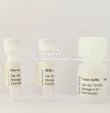 Starvio DNA & siRNA Transfection Kit, High-Efficiency Transfection for Multiple Nucleic Acid Forms